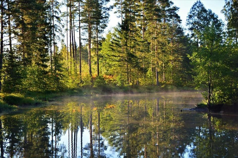 Viking House In The Tree! Jacuzzi, Sauna,Apkure! Lici (Talsi) Exterior foto