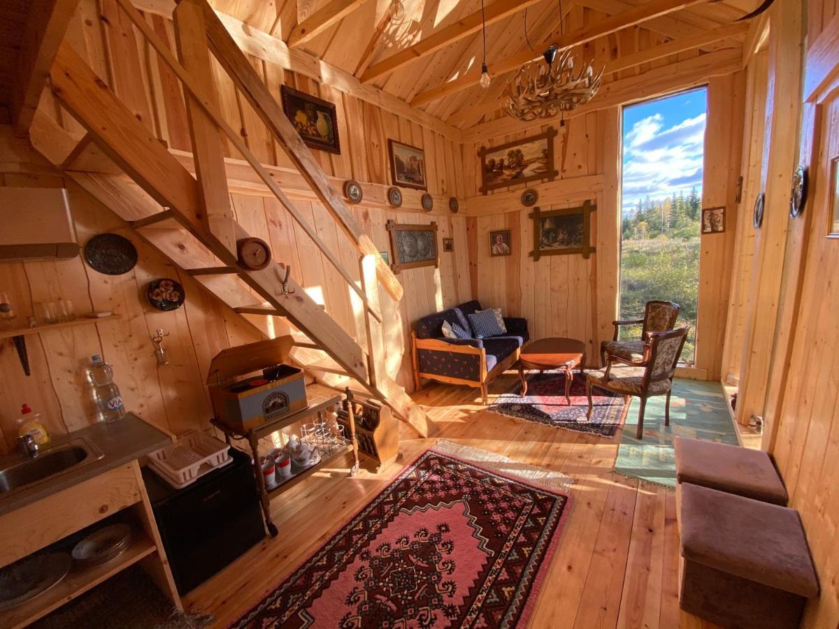 Viking House In The Tree! Jacuzzi, Sauna,Apkure! Lici (Talsi) Exterior foto