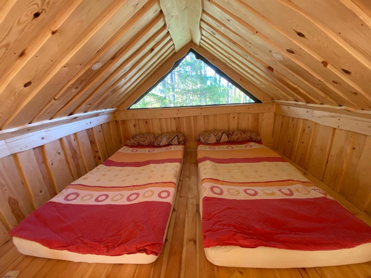 Viking House In The Tree! Jacuzzi, Sauna,Apkure! Lici (Talsi) Exterior foto