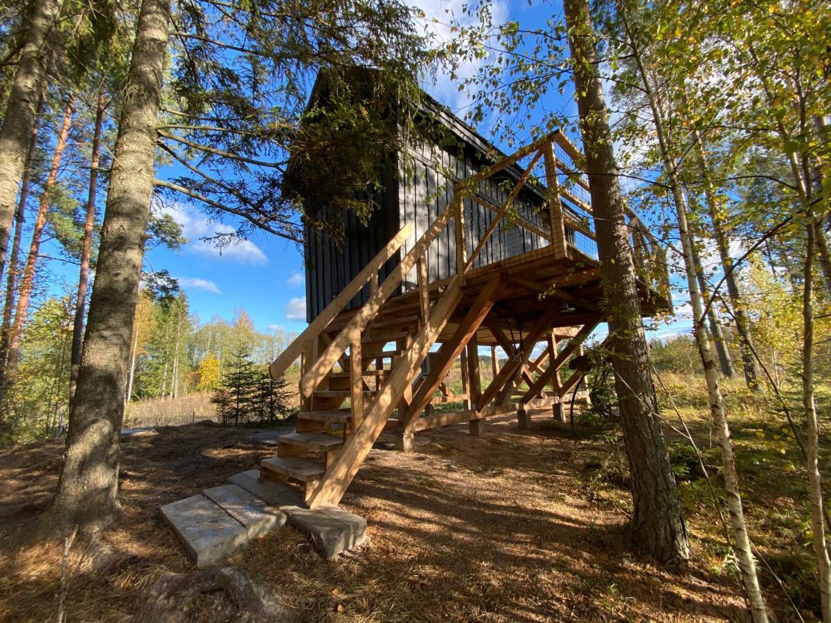 Viking House In The Tree! Jacuzzi, Sauna,Apkure! Lici (Talsi) Exterior foto