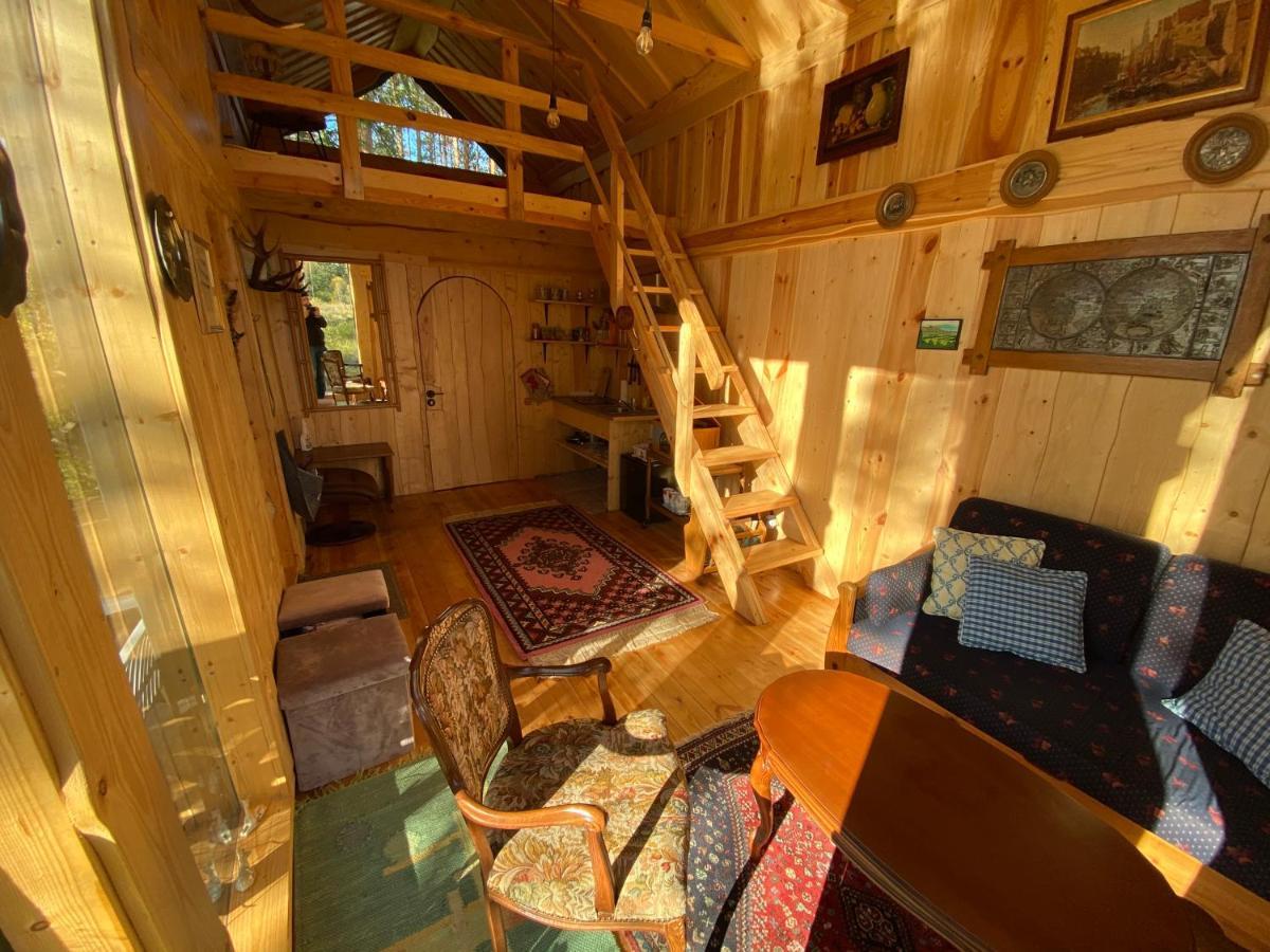 Viking House In The Tree! Jacuzzi, Sauna,Apkure! Lici (Talsi) Exterior foto